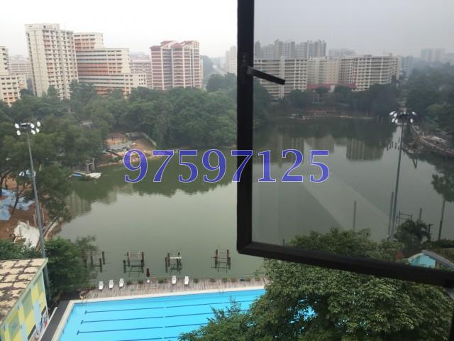 Blk 543 Jelapang Road (Bukit Panjang), HDB Executive #104807162
